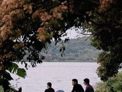 -鹤之洲湿地公园