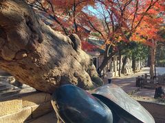 -青岛崂山太清宫