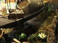 -兰木肆·云南菜(龙湖U城天街店)