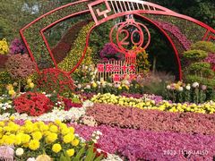 -上海共青森林公园