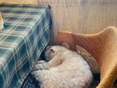 -不舍昼夜咖啡馆