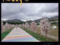 -盈香心动乐园