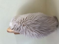 -猫和宫(六道口店)