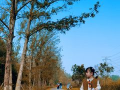 -桤木河湿地公园