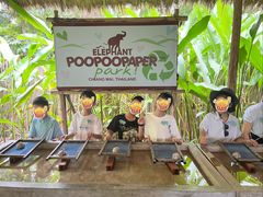 -大象粑粑造纸公园