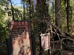 -云南屏边大围山国家公园