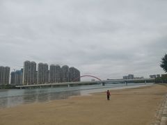 -五缘湾湿地公园