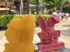 -新加坡水上探险乐园