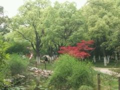 -瀛洲公园