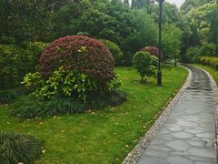 -汤山公园