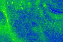 -和颜一美轻医美连锁