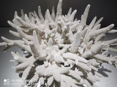 -福州罗源湾海洋世界旅游区