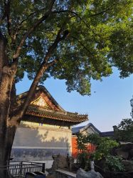 -颐和宾馆宴会厅