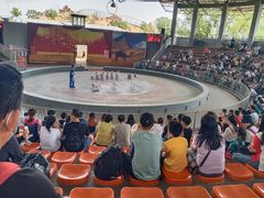 -石家庄市动物园