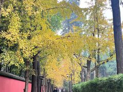 -成都武侯祠博物馆