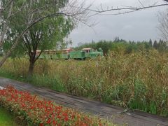 -长田漾湿地公园