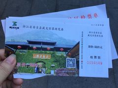 门票-藏龙百瀑风景区