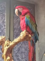 -Zoolung Zoolung动物主题公园(海信广场店)