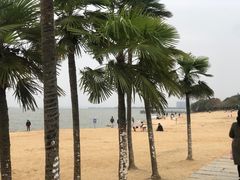 -瑶湖郊野森林公园