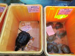-荔城生鲜盛宴(番禺旗舰店)
