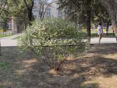 -辽宁大学(崇山校区)