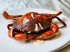 膏蟹-越百海海鲜蒸锅(乐山店)
