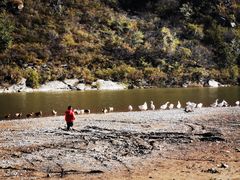 -白河湾山水缘民宿