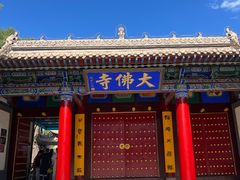 -张掖大佛寺景区
