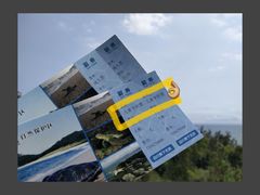 -广东惠东海龟国家级自然保护区