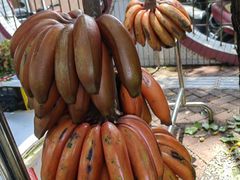 -光明刘冰乳鸽店(光明法政北路店)