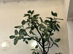 -小团圆糖水铺(襄阳南路店)