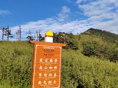 -朱雀国家森林公园