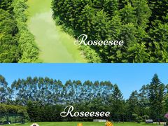 -迪茵湖田家舍生态农场