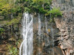 -上海辰山植物园