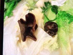 鱼汤杂菜煲-顺峰(农展馆店)