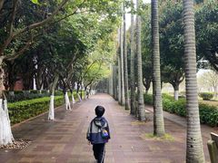 -厦门大学(思明校区)
