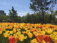 -长春公园(普阳街道)