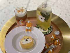 -柴务处·柴犬主题狗咖