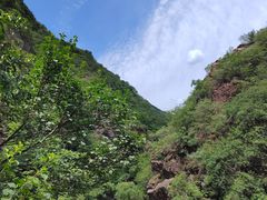 -云岫谷游猎自然风景区