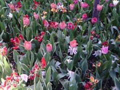 -长春公园(普阳街道)