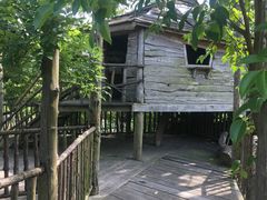 -田园东方蜜桃村的田野营地