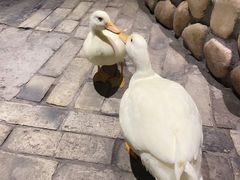 -馬蘭花開(车站大道店)