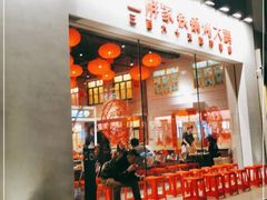 -二胖家铁锅炖大鹅(双井店)