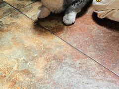 -柳沟豆腐宴69号福豆堂