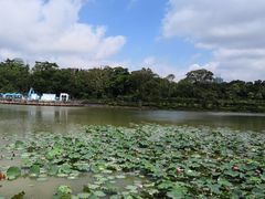 -广西壮族自治区药用植物园