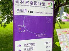 -御林古桑园