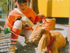 -前小桔亲子创意农场·草莓采摘·露营烧烤