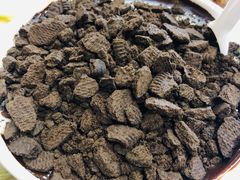 奥利奥黑巧雪花冰-帅小六刨冰·不一样的奶冰(总店)