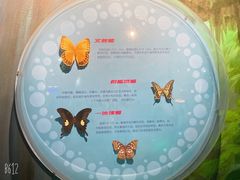 -萌宠奇缘
