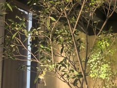 -沅江水·湖南家宴(南村万博长隆商圈店)